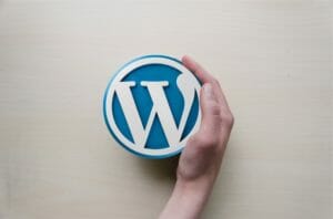 WordPress and Plugin Compatibility For Themes