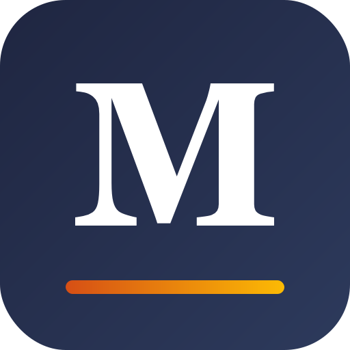 MetaBlogue