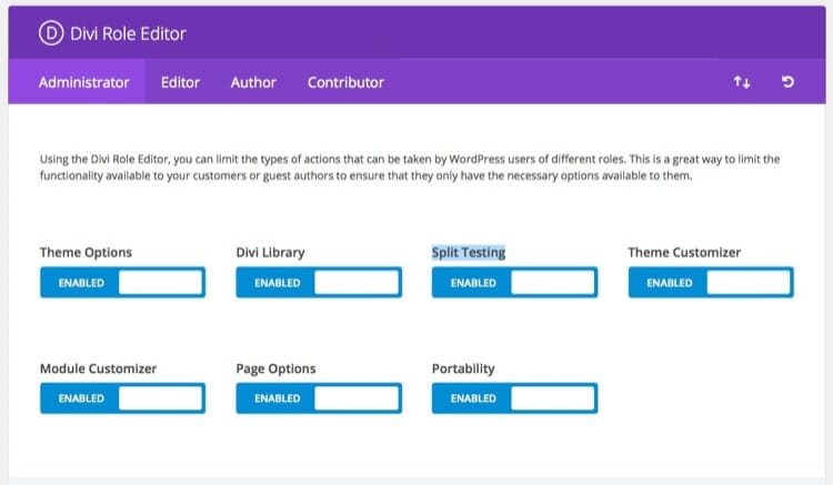 Divi Role Editor For Providing Required Access