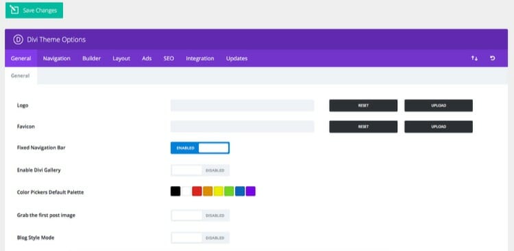 Elegant Themes Divi Theme Options