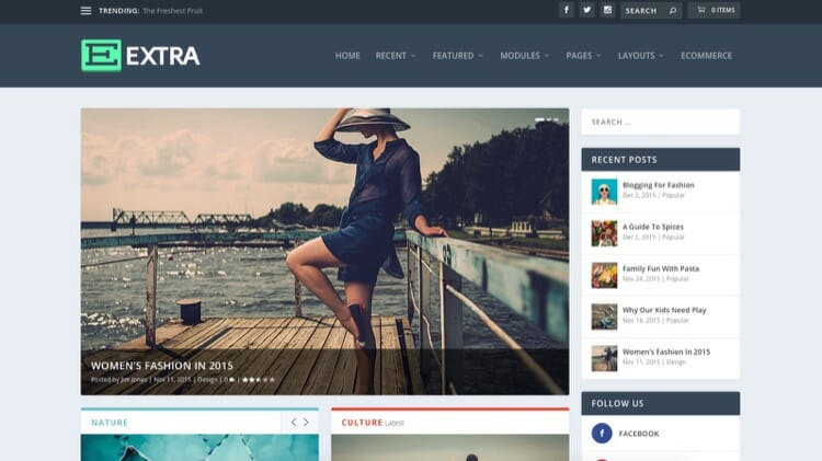 Elegant Themes Extra Theme Screenshot