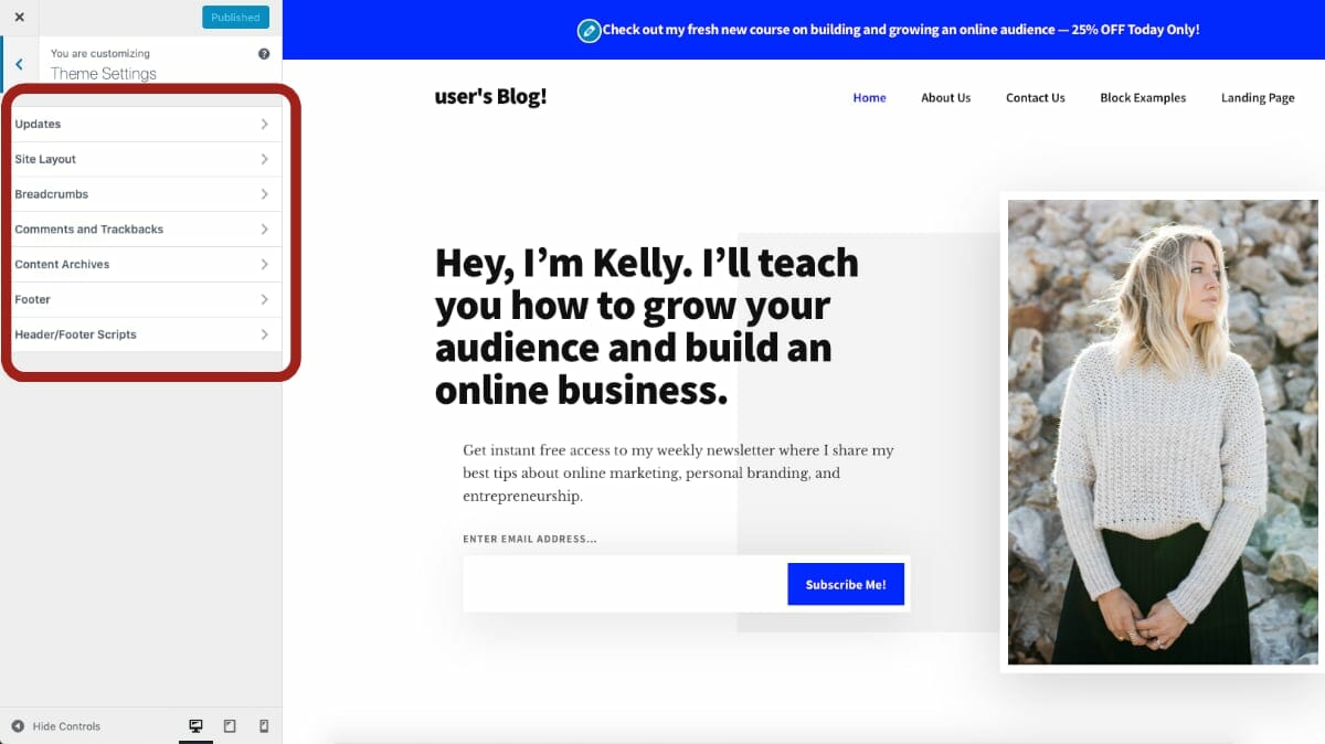 Genesis Theme Settings in Customizer