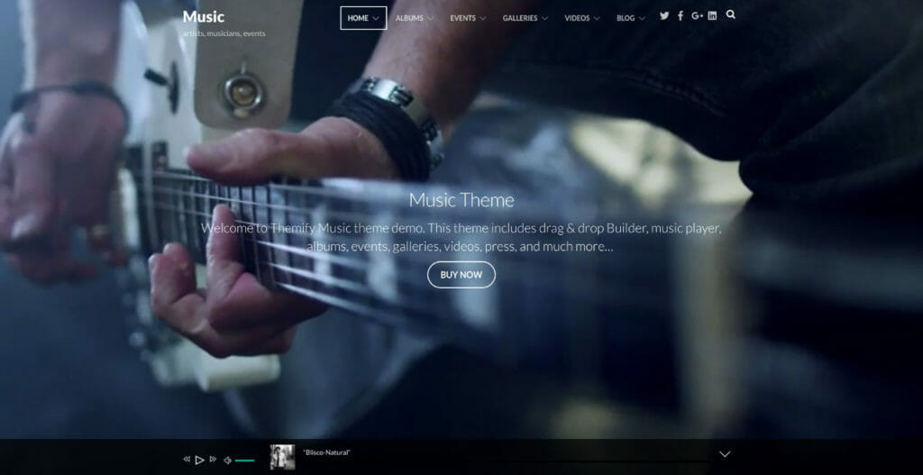 Music WordPress Theme For Music Store