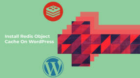 How To Install Redis Object Cache For WordPress On Plesk AWS LightSail Server